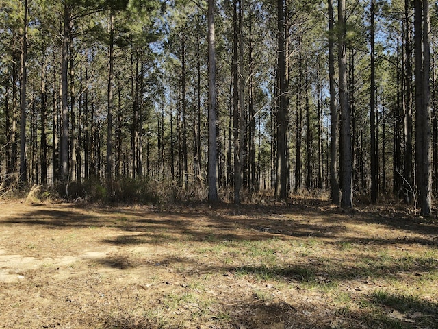 80 High Point Ln, Jasper, TN 37347