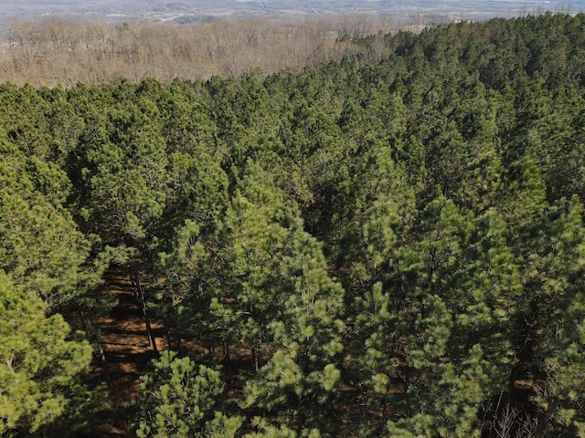 80 High Point Ln, Jasper, TN 37347