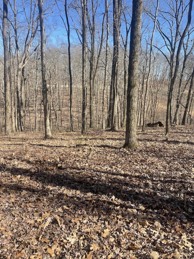 80 High Point Ln, Jasper, TN 37347