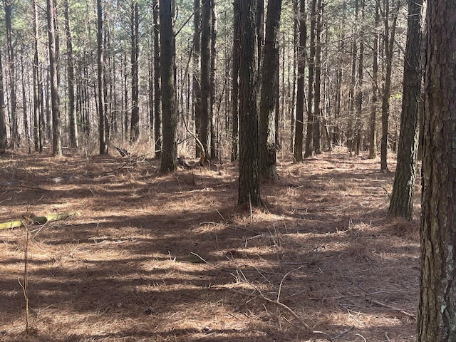 80 High Point Ln, Jasper, TN 37347