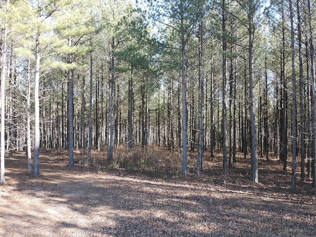 80 High Point Ln, Jasper, TN 37347