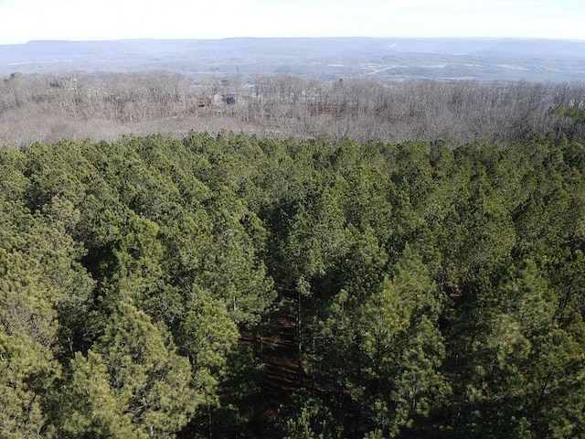 80 High Point Ln, Jasper, TN 37347