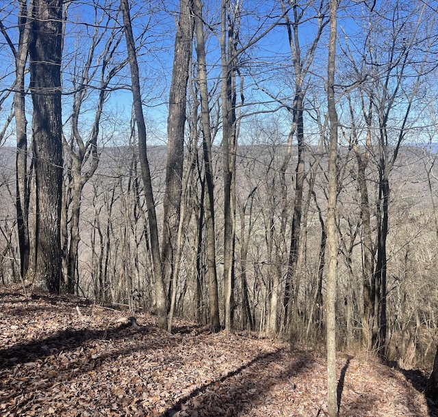 80 High Point Ln, Jasper, TN 37347