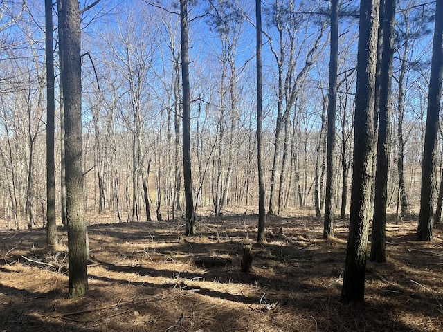 80 High Point Ln, Jasper, TN 37347