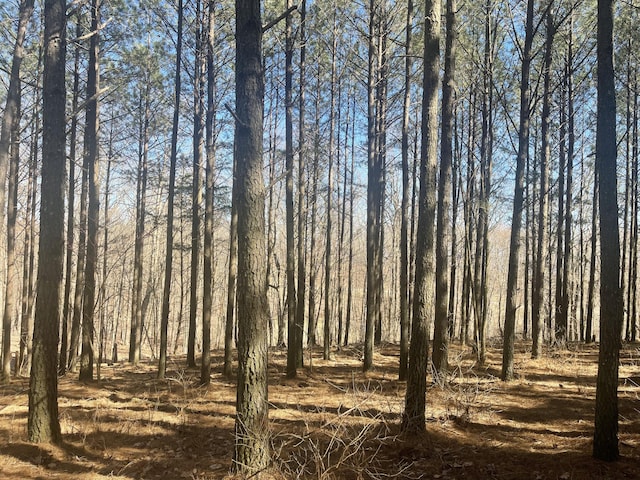 80 High Point Ln, Jasper, TN 37347