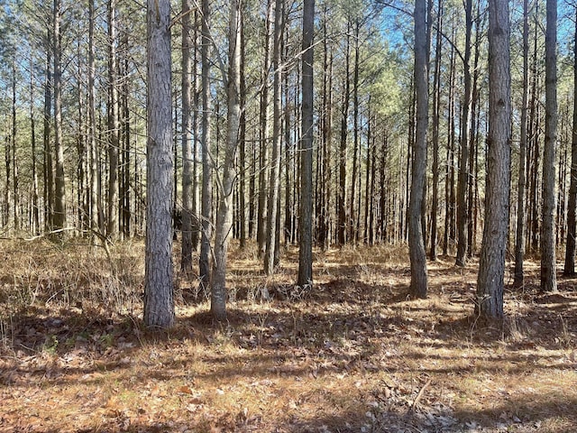 80 High Point Ln, Jasper, TN 37347
