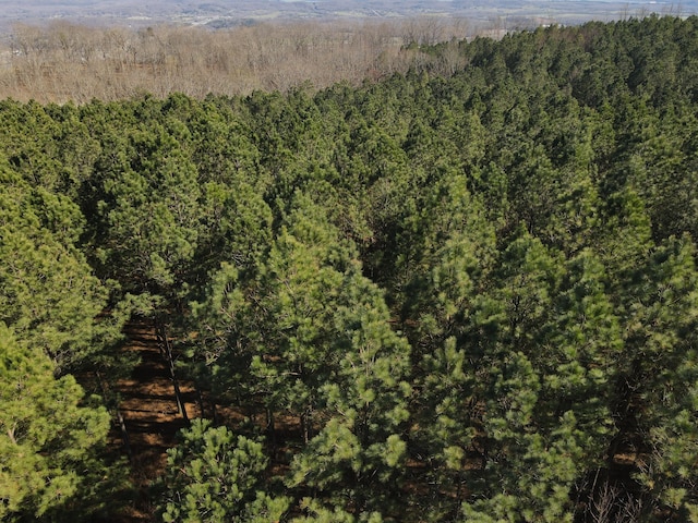 80 High Point Ln, Jasper, TN 37347