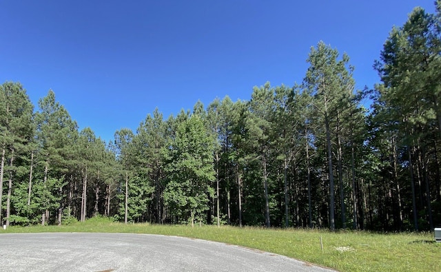80 High Point Ln, Jasper, TN 37347