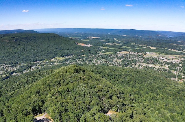 80 High Point Ln, Jasper, TN 37347
