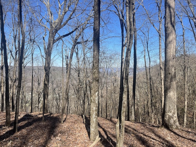 80 High Point Ln, Jasper, TN 37347