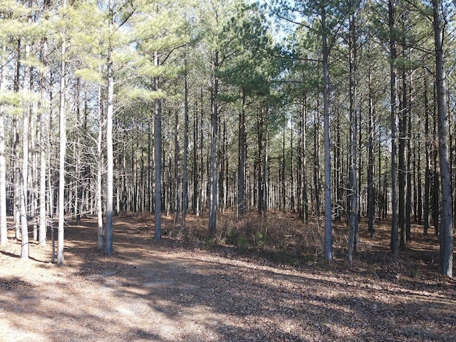 80 High Point Ln, Jasper, TN 37347