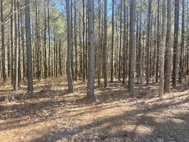 80 High Point Ln, Jasper, TN 37347