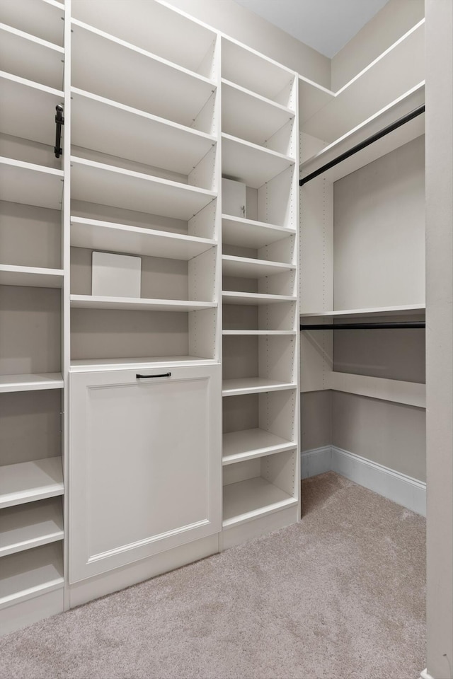 8580 Festival Loop, Chattanooga, TN 37419 - walk in closet featuring carpet flooring