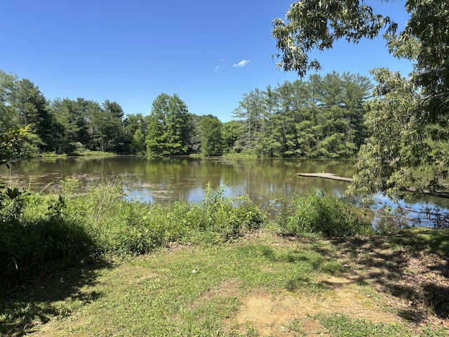 12466 Alabama Hwy, Ringgold, GA 30736 - water view with a heavily wooded area