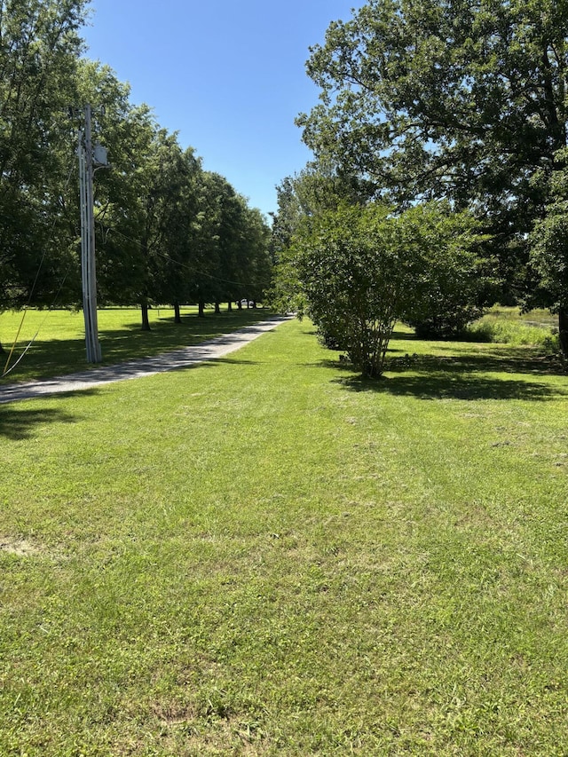 12466 Alabama Hwy, Ringgold, GA 30736 - view of green lawn