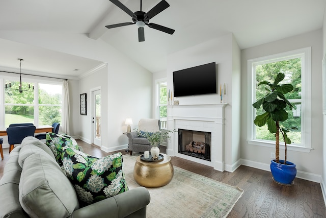 306 Stonegate Way, Soddy Daisy, TN 37379 - living room featuring a fireplace, healthy amount of natural light, and dark wood-type flooring