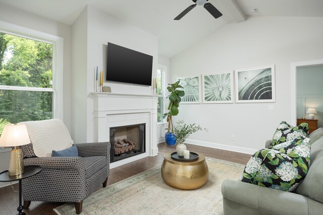 306 Stonegate Way, Soddy Daisy, TN 37379 - living area with ceiling fan, wood finished floors, and a fireplace