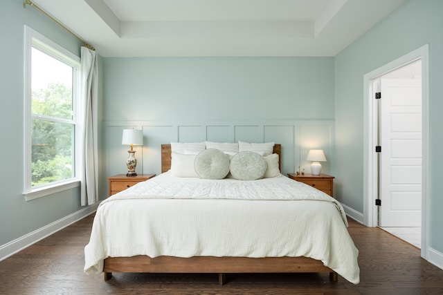 306 Stonegate Way, Soddy Daisy, TN 37379 - bedroom featuring a raised ceiling and dark wood-style flooring