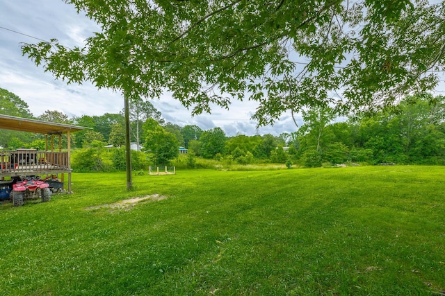 253 Hartline Rd, Trenton, GA 30752 - view of green lawn featuring a deck
