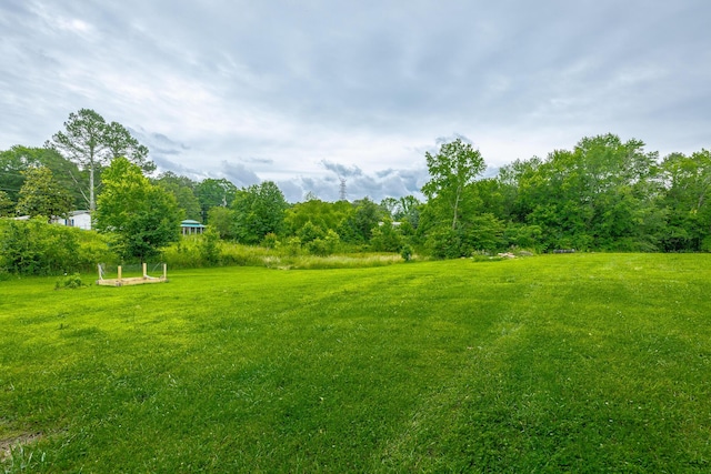253 Hartline Rd, Trenton, GA 30752 - view of green lawn