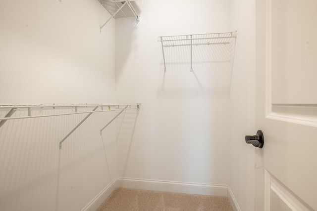 1967 Read Ave, Chattanooga, TN 37408 - spacious closet featuring carpet