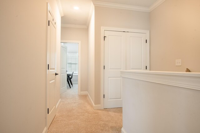 1967 Read Ave, Chattanooga, TN 37408 - hallway with light carpet, crown molding, and baseboards