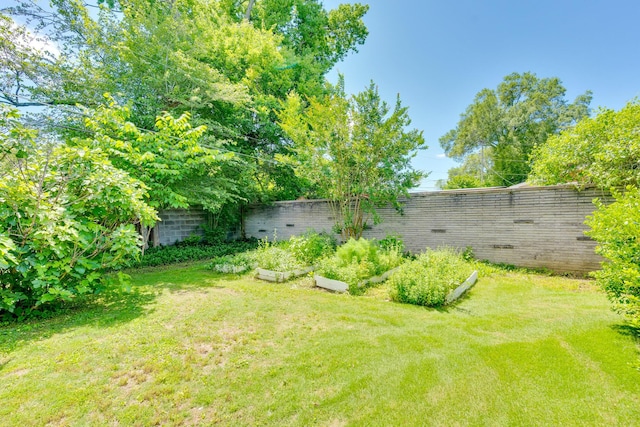 208 Barbara Ln, Chattanooga, TN 37411 - view of yard