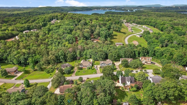 6443 Olde Ferry Lndg, Harrison, TN 37341 - aerial overview of property's location featuring a forest and a nearby body of water