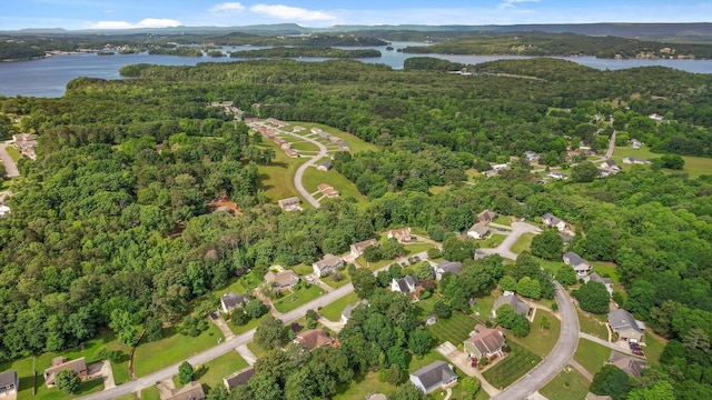 6443 Olde Ferry Lndg, Harrison, TN 37341 - aerial view of property and surrounding area featuring a forest and a nearby body of water