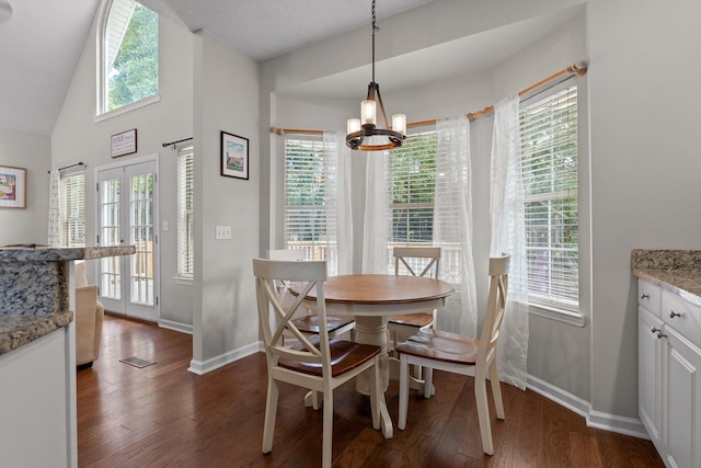 6443 Olde Ferry Lndg, Harrison, TN 37341 - dining area featuring baseboards, dark wood finished floors, a chandelier, and lofted ceiling