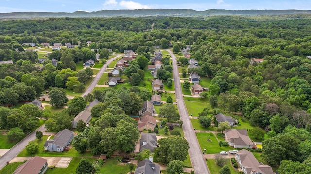 6443 Olde Ferry Lndg, Harrison, TN 37341 - aerial view of residential area featuring a forest