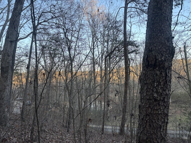 0 Twin Lakes Rd, Lafayette, GA 30728