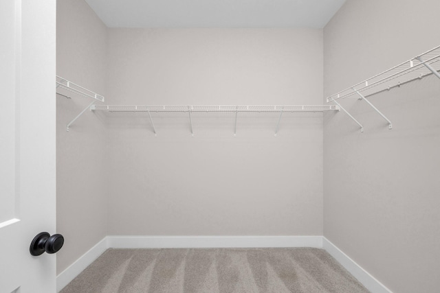 2732 Butlers Green Cir Unit 27, Chattanooga, TN 37421 - walk in closet with carpet flooring
