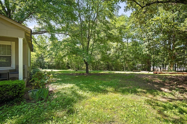 8504 Walnut Rd, Hixson, TN 37343 - view of yard
