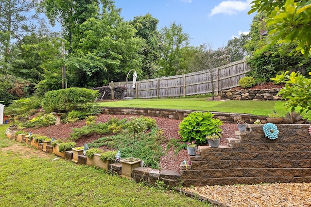 604 Lenna Ln, Dalton, GA 30720 - view of yard