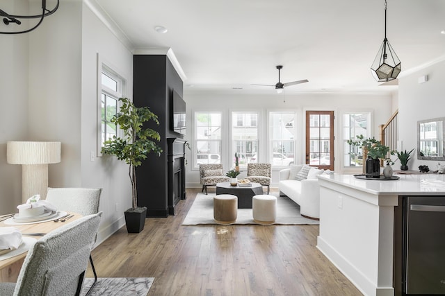 1522 Little Sorrel Rd Unit 034, Hixson, TN 37343 - living room featuring a fireplace, healthy amount of natural light, ornamental molding, baseboards, and wood finished floors