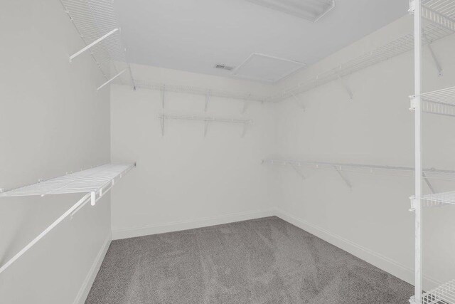 1770 Thrasher Pike, Hixson, TN 37343 - walk in closet with carpet flooring and attic access