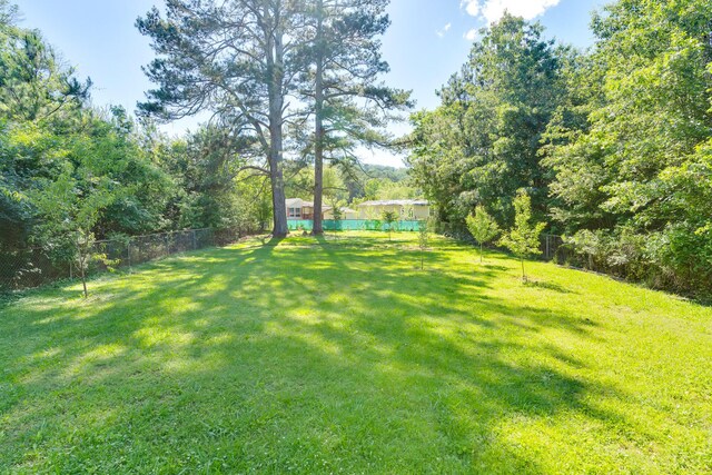 1615 Wilson Rd, Rossville, GA 30741 - view of yard