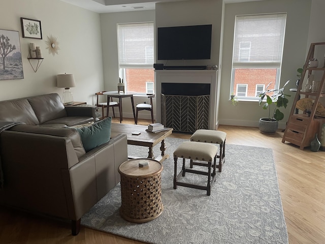 4 Cherokee Blvd Unit 306, Chattanooga, TN 37405 - living area with wood finished floors, a fireplace, and baseboards