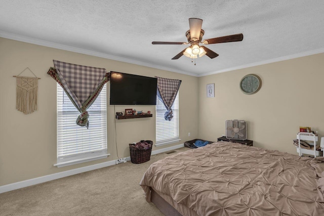 87 Happy Valley Rd, Dunlap, TN 37327 - photo 19