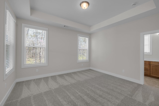 2592 Butlers Green Cir Unit 9, Chattanooga, TN 37421 - unfurnished room featuring light carpet, a tray ceiling, and baseboards