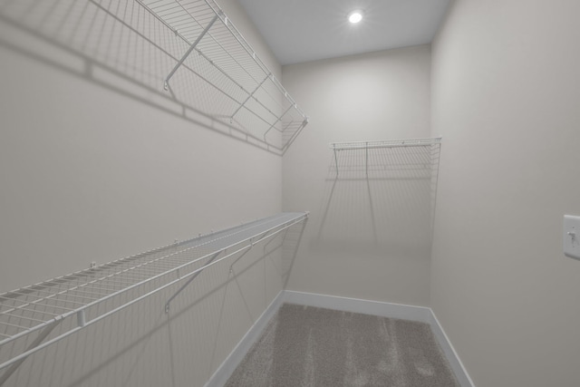 2592 Butlers Green Cir Unit 9, Chattanooga, TN 37421 - spacious closet featuring carpet flooring