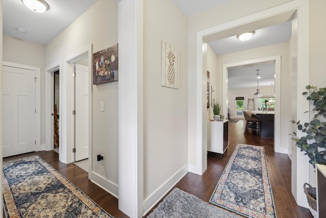 1590 Buttonwood Unit 20, Chattanooga, TN 37421 - hallway featuring dark wood finished floors and baseboards