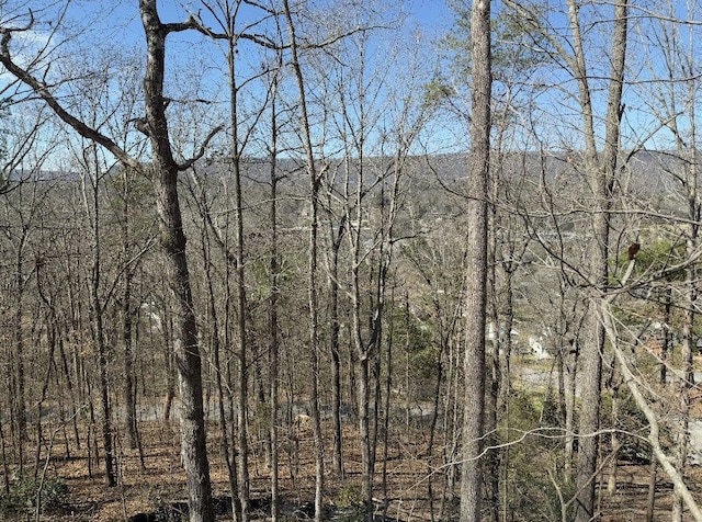 3563 Knollwood Hill Dr, Chattanooga, TN 37415 - view of wooded area