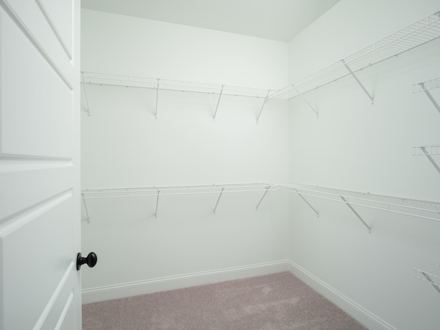 8868 Knolling Loop Unit 36, Ooltewah, TN 37363 - walk in closet featuring carpet flooring