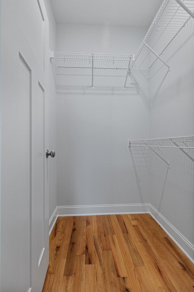 607 Westover Dr SW, Cleveland, TN 37311 - walk in closet with light wood-style flooring