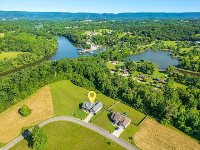 479 Overlook Dr, Dayton, TN 37321 - photo 9