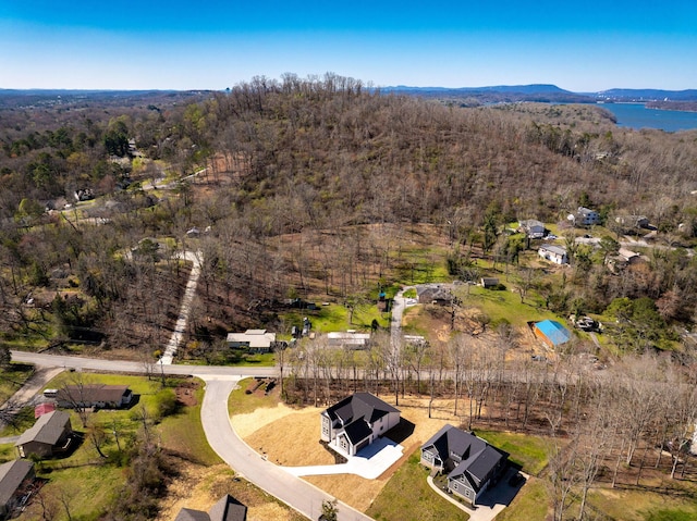 6221 Alexandra Pl, Chattanooga, TN 37416 - aerial view of a forest and a nearby body of water