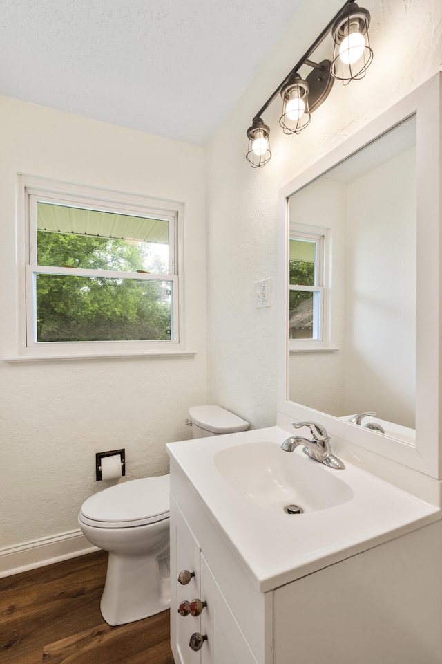 1331 Phils Dr, Chattanooga, TN 37421 - half bath featuring vanity, wood finished floors, plenty of natural light, and toilet