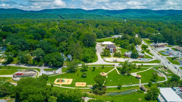 90 Cherokee St, Summerville, GA 30747 - bird's eye view of a forest and a mountain backdrop